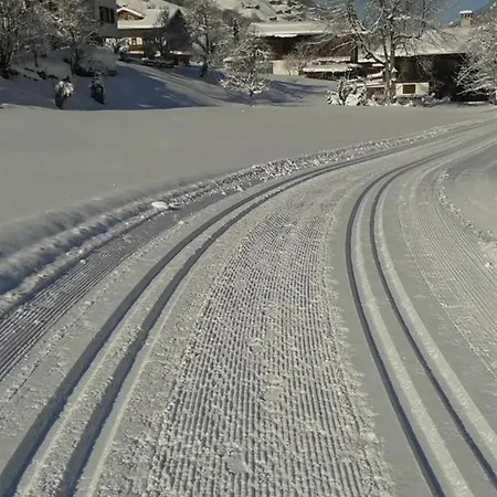 Haus Trantrauas 사슈른